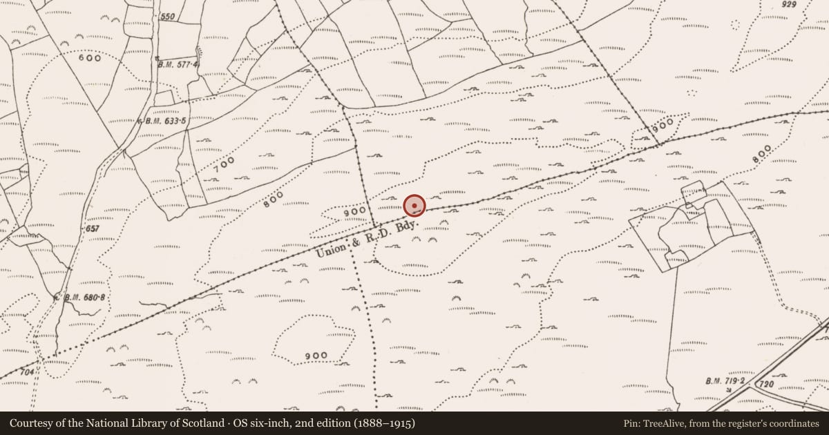 Ordnance Survey six-inch map, 2nd edition (1888–1915) covering the location of Cairn - unclassified, Letterlicky East, County Cork, with a pin at the register's coordinates