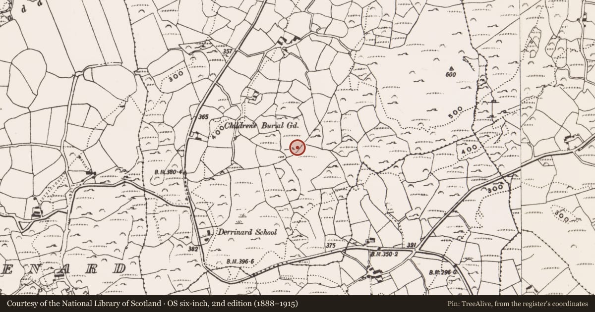 Ordnance Survey six-inch map, 2nd edition (1888–1915) covering the location of Standing stone, Cappagh More, County Cork, with a pin at the register's coordinates