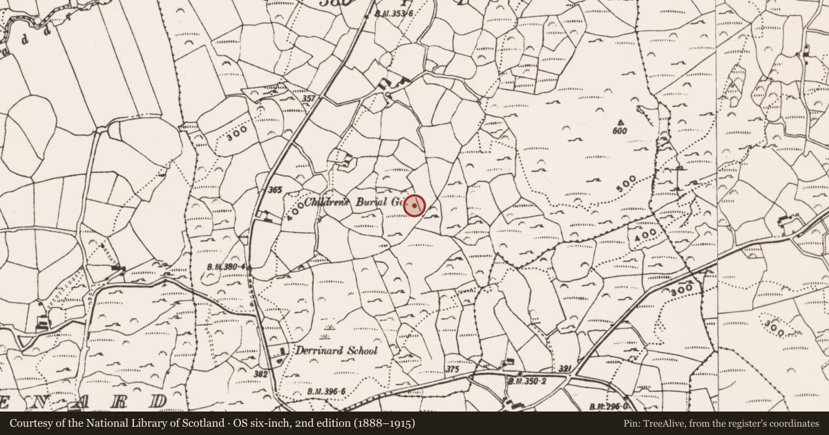 Ordnance Survey six-inch map, 2nd edition (1888–1915) covering the location of Standing stone, Cappagh More, County Cork, with a pin at the register's coordinates