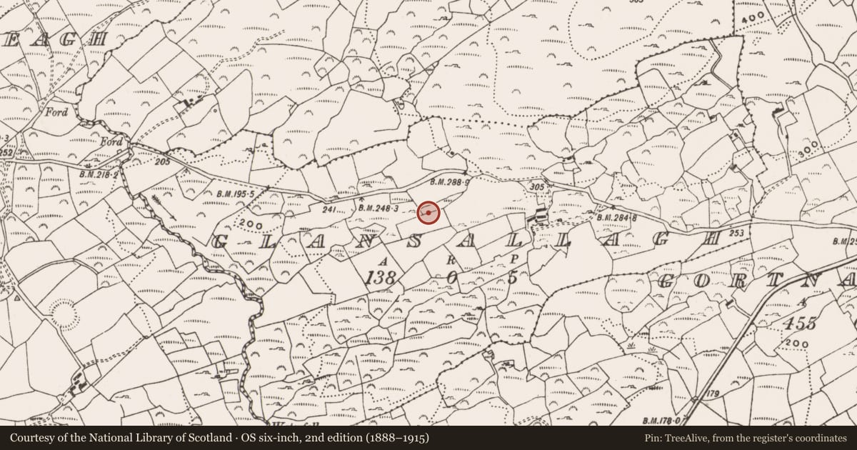 Ordnance Survey six-inch map, 2nd edition (1888–1915) covering the location of Rock art, Glansallagh, County Cork, with a pin at the register's coordinates