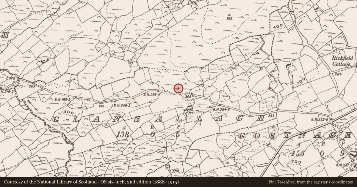 Ordnance Survey six-inch map, 2nd edition (1888–1915) covering the location of Standing stone, Glansallagh, County Cork, with a pin at the register's coordinates