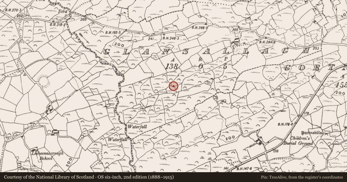 Ordnance Survey six-inch map, 2nd edition (1888–1915) covering the location of Rock art, Glansallagh, County Cork, with a pin at the register's coordinates
