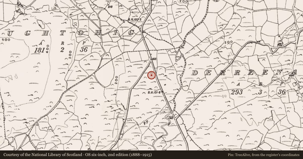 Ordnance Survey six-inch map, 2nd edition (1888–1915) covering the location of Rock art, Glannakilleenagh, County Cork, with a pin at the register's coordinates