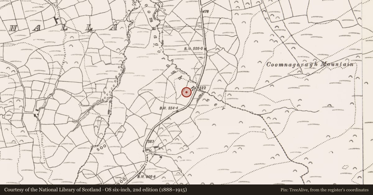 Ordnance Survey six-inch map, 2nd edition (1888–1915) covering the location of Standing stone, Barryroe, County Cork, with a pin at the register's coordinates