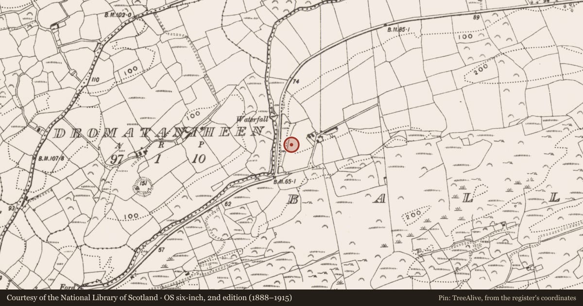 Ordnance Survey six-inch map, 2nd edition (1888–1915) covering the location of Souterrain, Ballycommane, County Cork, with a pin at the register's coordinates