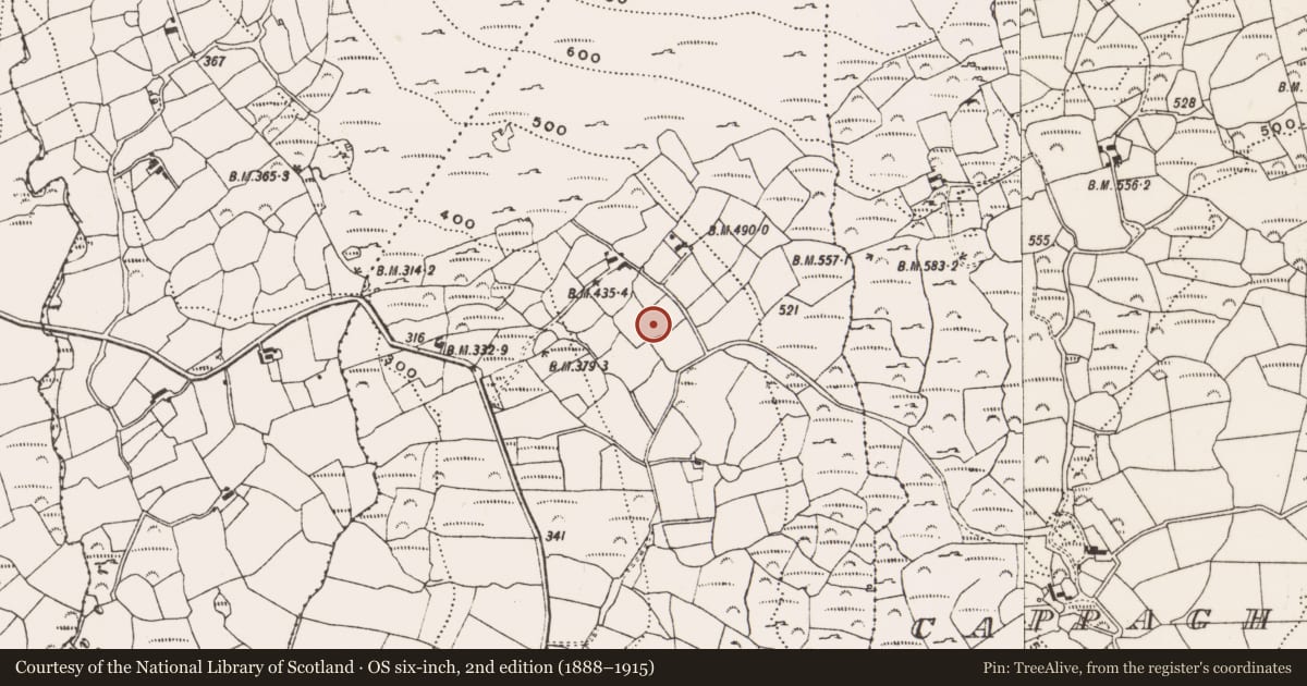 Ordnance Survey six-inch map, 2nd edition (1888–1915) covering the location of Standing stone, Cappagh More, County Cork, with a pin at the register's coordinates