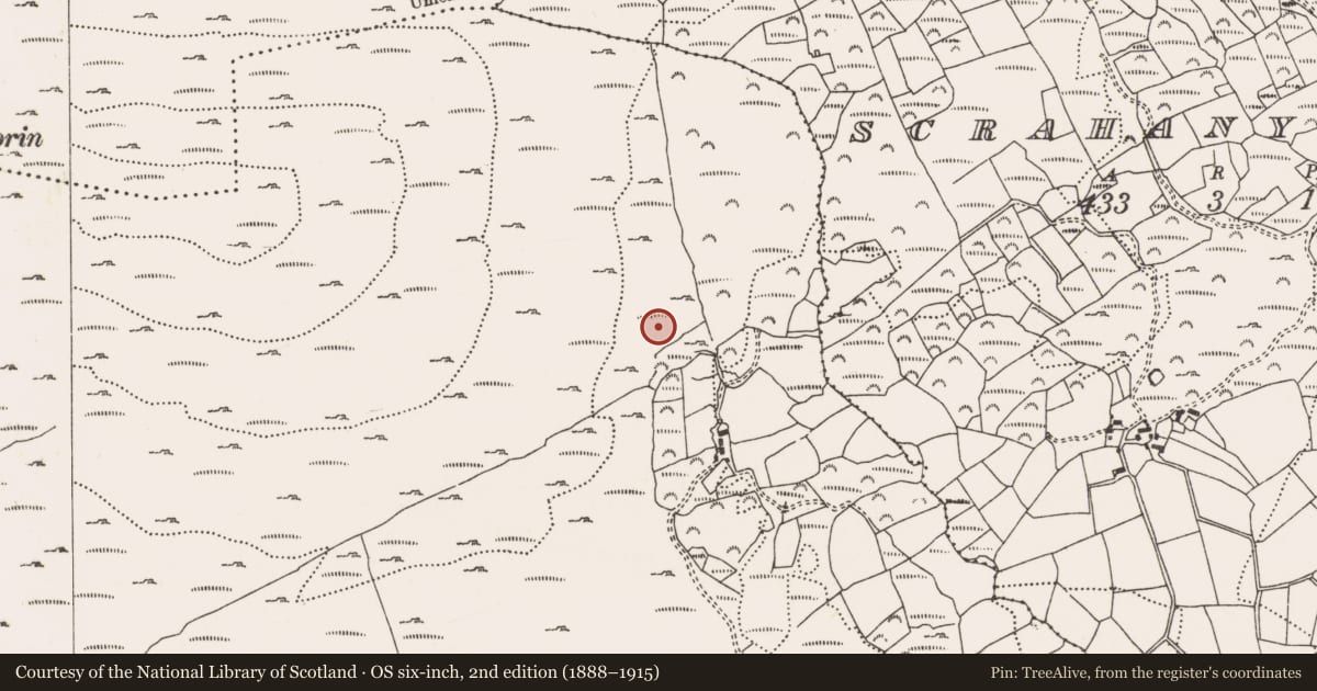 Ordnance Survey six-inch map, 2nd edition (1888–1915) covering the location of Mine - copper, Scrahanyleary, County Cork, with a pin at the register's coordinates