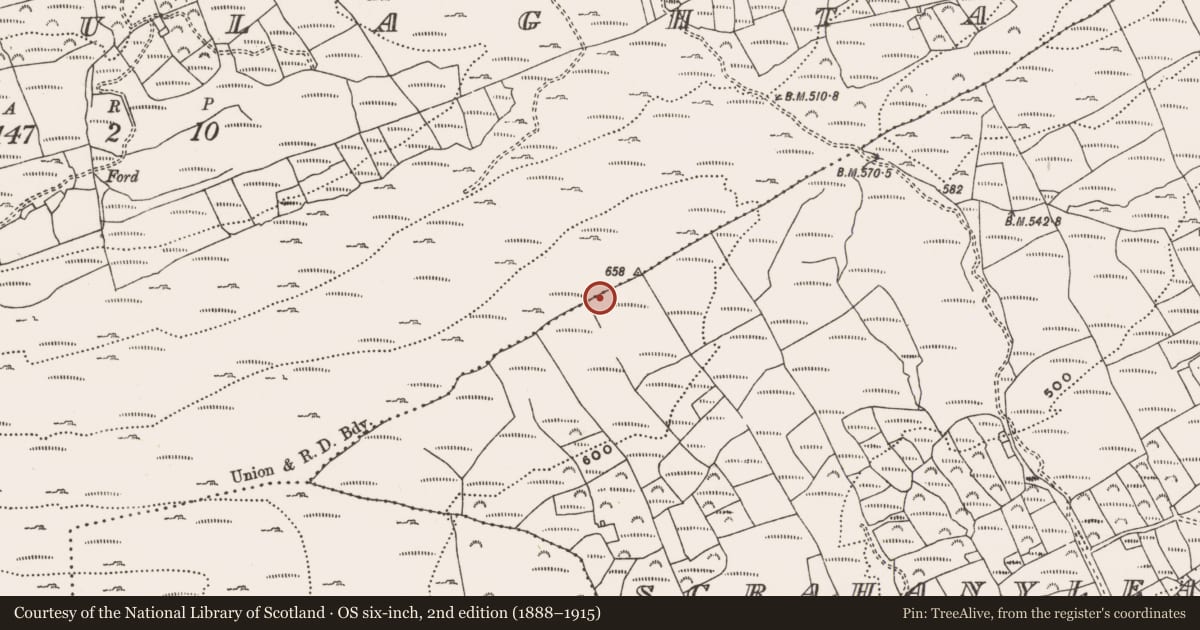Ordnance Survey six-inch map, 2nd edition (1888–1915) covering the location of Megalithic structure, Coolcoulaghta, County Cork, with a pin at the register's coordinates