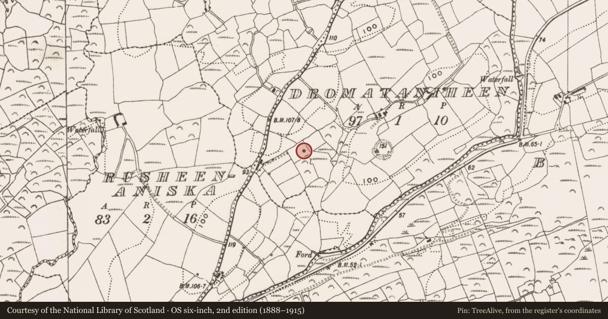 Ordnance Survey six-inch map, 2nd edition (1888–1915) covering the location of Burnt mound, Dromataniheen, County Cork, with a pin at the register's coordinates