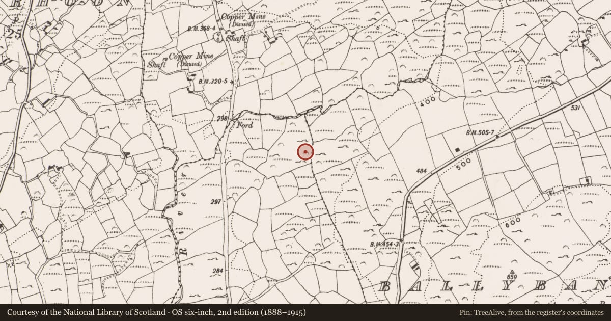 Ordnance Survey six-inch map, 2nd edition (1888–1915) covering the location of Rock art, Derreennaclogh, County Cork, with a pin at the register's coordinates