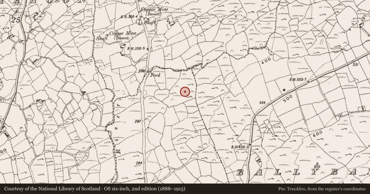 Ordnance Survey six-inch map, 2nd edition (1888–1915) covering the location of Rock art, Derreennaclogh, County Cork, with a pin at the register's coordinates