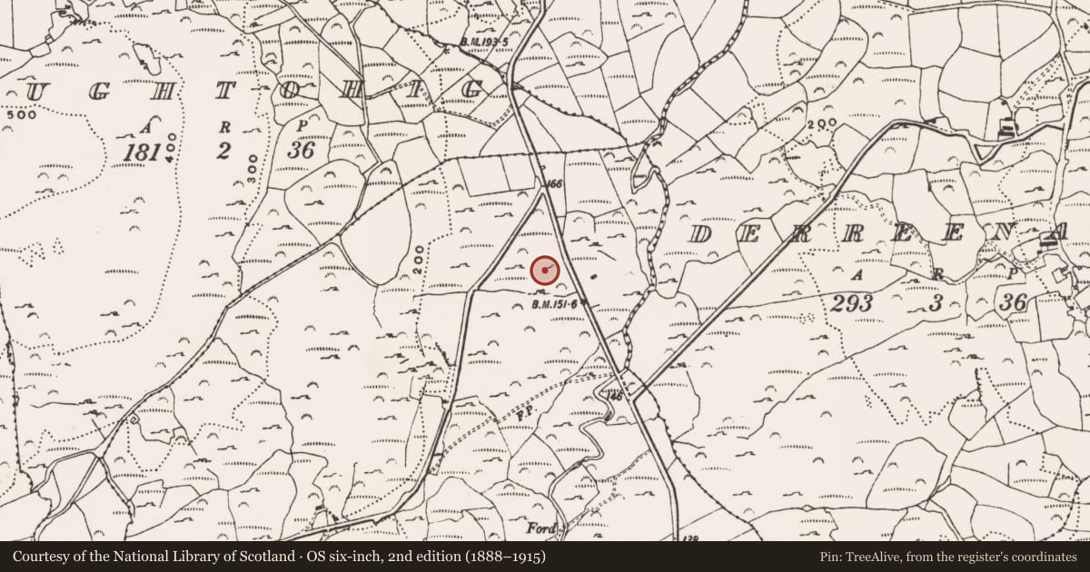 Ordnance Survey six-inch map, 2nd edition (1888–1915) covering the location of Rock art, Glannakilleenagh, County Cork, with a pin at the register's coordinates