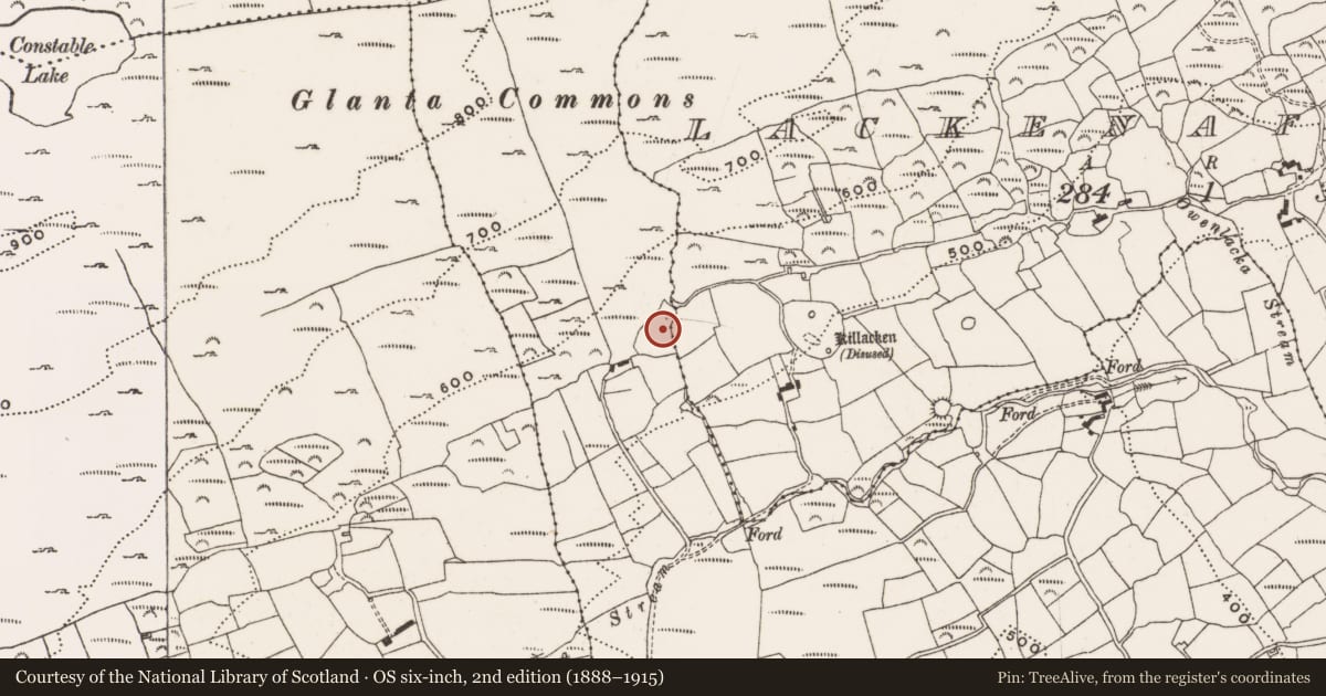 Ordnance Survey six-inch map, 2nd edition (1888–1915) covering the location of Fulacht fia, Glanaphuca, County Cork, with a pin at the register's coordinates