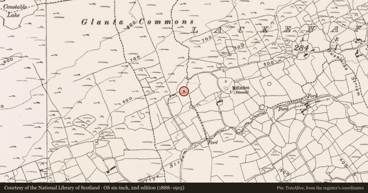 Ordnance Survey six-inch map, 2nd edition (1888–1915) covering the location of Fulacht fia, Glanaphuca, County Cork, with a pin at the register's coordinates