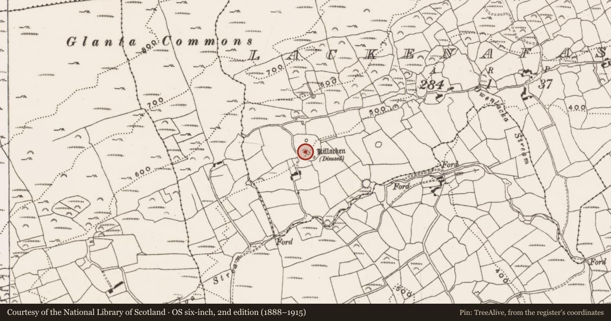 Ordnance Survey six-inch map, 2nd edition (1888–1915) covering the location of Burial ground, Lackenafasoge, County Cork, with a pin at the register's coordinates