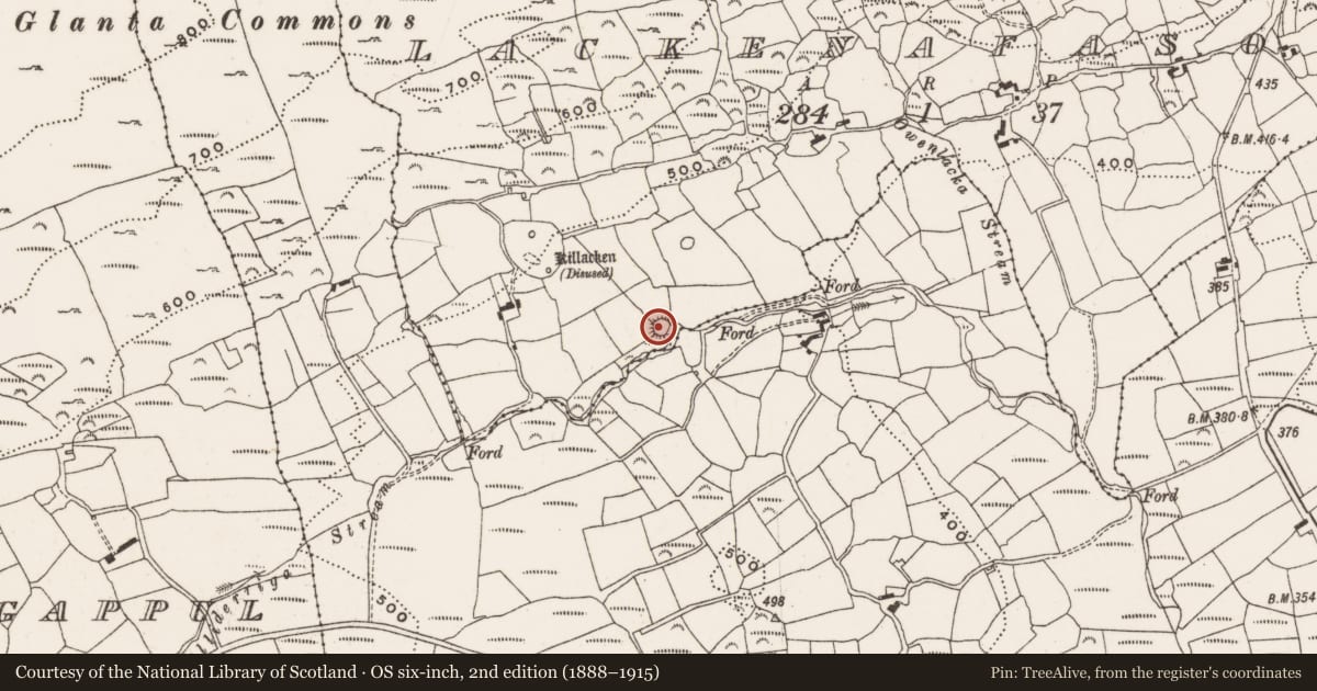 Ordnance Survey six-inch map, 2nd edition (1888–1915) covering the location of Ringfort - rath, Lackenafasoge, County Cork, with a pin at the register's coordinates