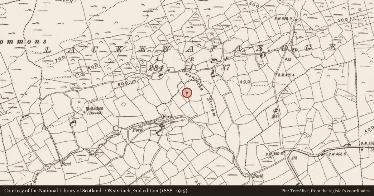 Ordnance Survey six-inch map, 2nd edition (1888–1915) covering the location of Standing stone, Glanaphuca, County Cork, with a pin at the register's coordinates