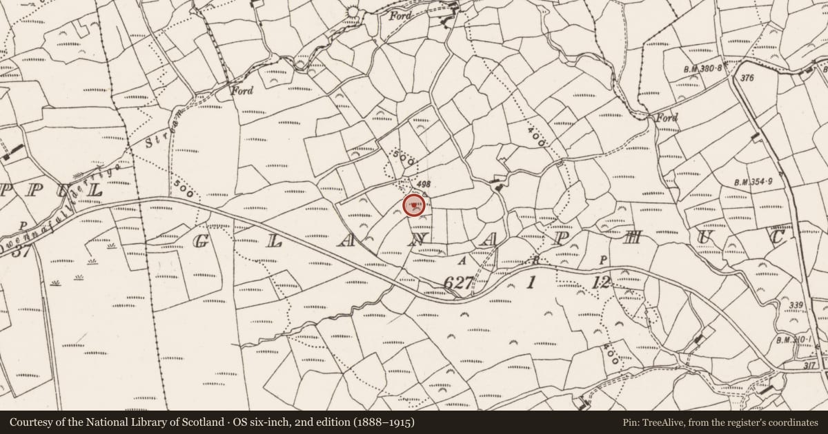 Ordnance Survey six-inch map, 2nd edition (1888–1915) covering the location of Barrow - ring-barrow, Glanaphuca, County Cork, with a pin at the register's coordinates