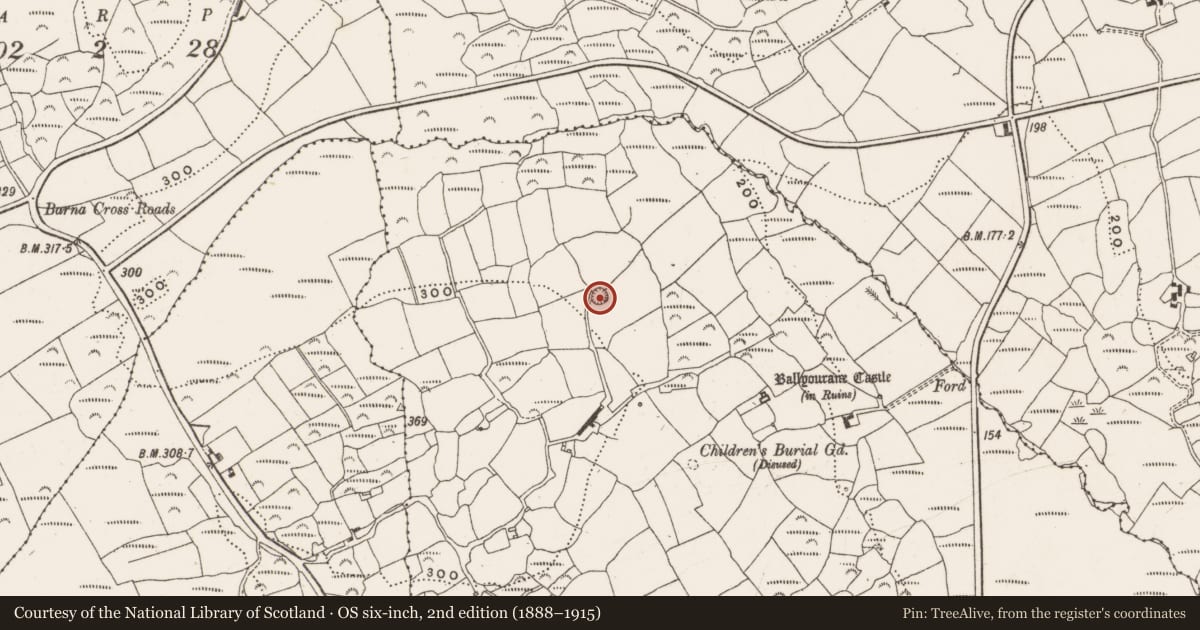 Ordnance Survey six-inch map, 2nd edition (1888–1915) covering the location of Ringfort - rath, Ballyourane, County Cork, with a pin at the register's coordinates