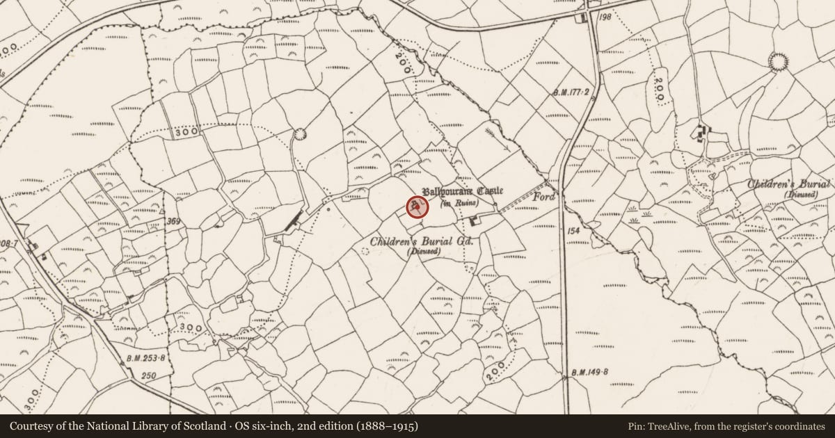 Ordnance Survey six-inch map, 2nd edition (1888–1915) covering the location of Castle - unclassified, Ballyourane, County Cork, with a pin at the register's coordinates
