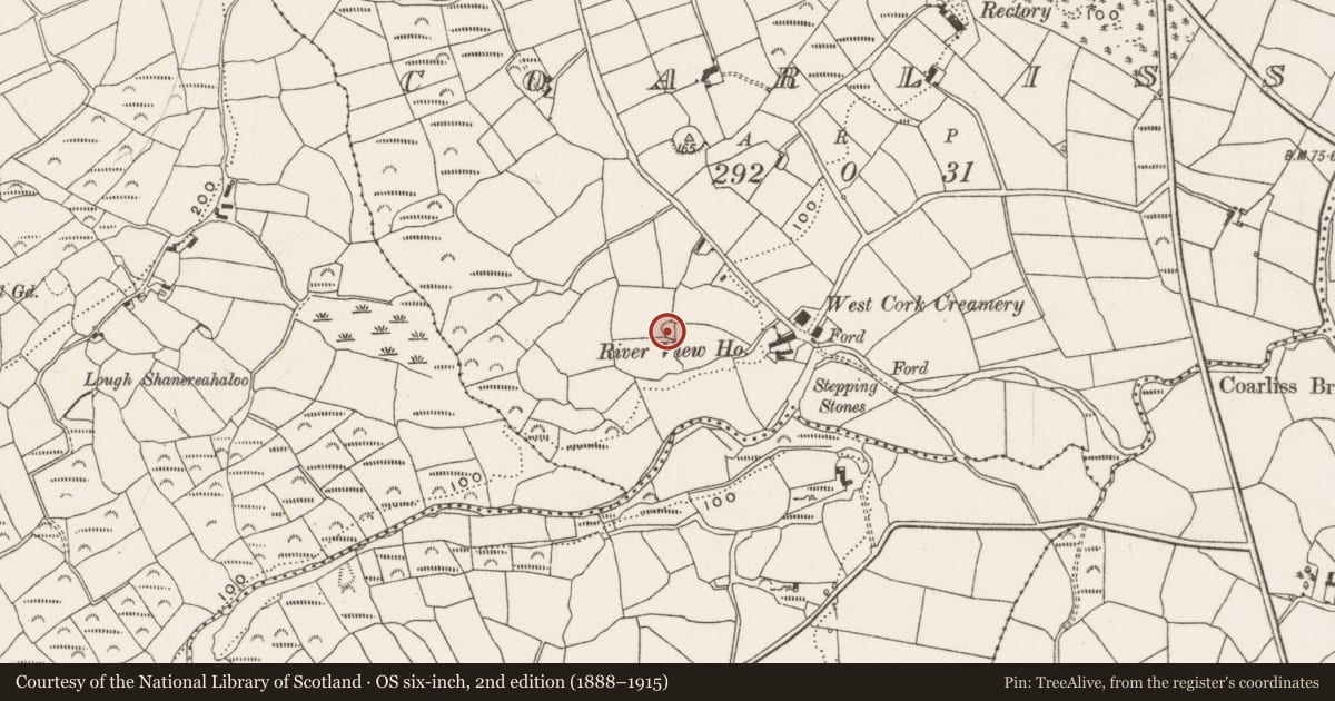 Ordnance Survey six-inch map, 2nd edition (1888–1915) covering the location of Souterrain, Coarliss, County Cork, with a pin at the register's coordinates