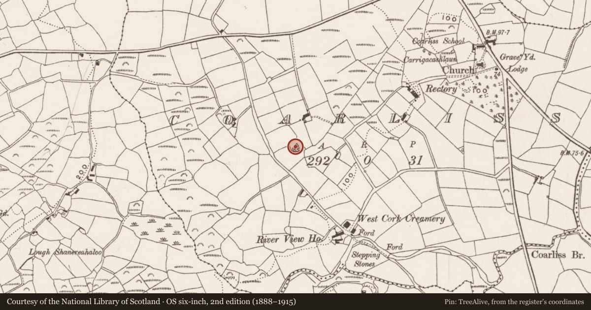 Ordnance Survey six-inch map, 2nd edition (1888–1915) covering the location of Ringfort - rath, Coarliss, County Cork, with a pin at the register's coordinates