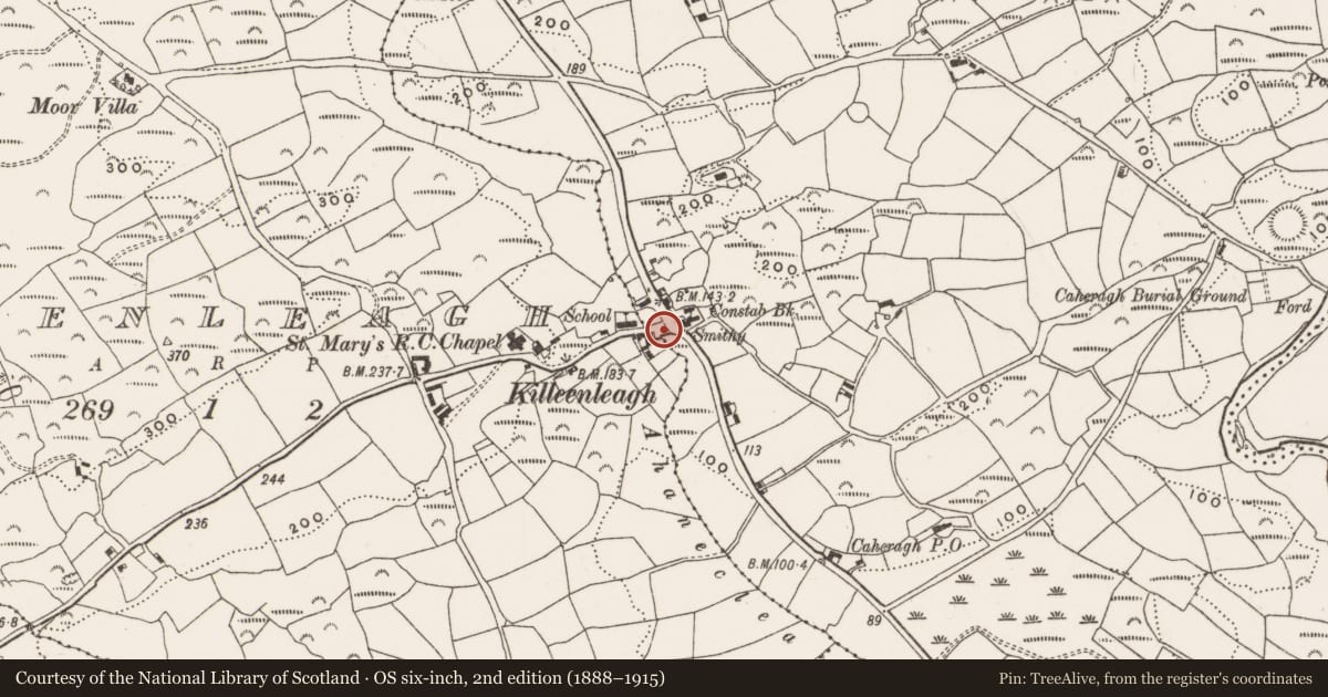 Ordnance Survey six-inch map, 2nd edition (1888–1915) covering the location of Souterrain, Killeenleagh, County Cork, with a pin at the register's coordinates