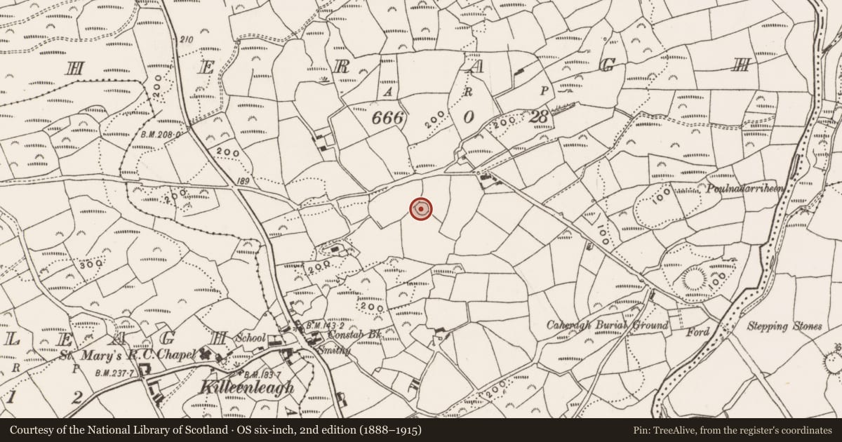 Ordnance Survey six-inch map, 2nd edition (1888–1915) covering the location of Ringfort - rath, Caheragh, County Cork, with a pin at the register's coordinates