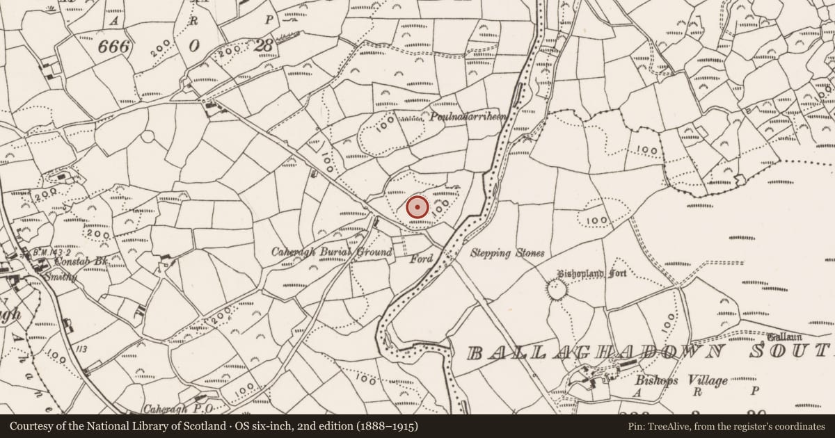 Ordnance Survey six-inch map, 2nd edition (1888–1915) covering the location of Ringfort - rath, Caheragh, County Cork, with a pin at the register's coordinates