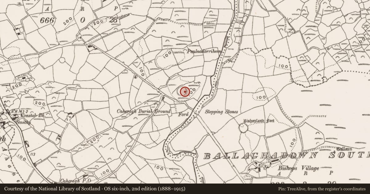 Ordnance Survey six-inch map, 2nd edition (1888–1915) covering the location of Souterrain, Caheragh, County Cork, with a pin at the register's coordinates