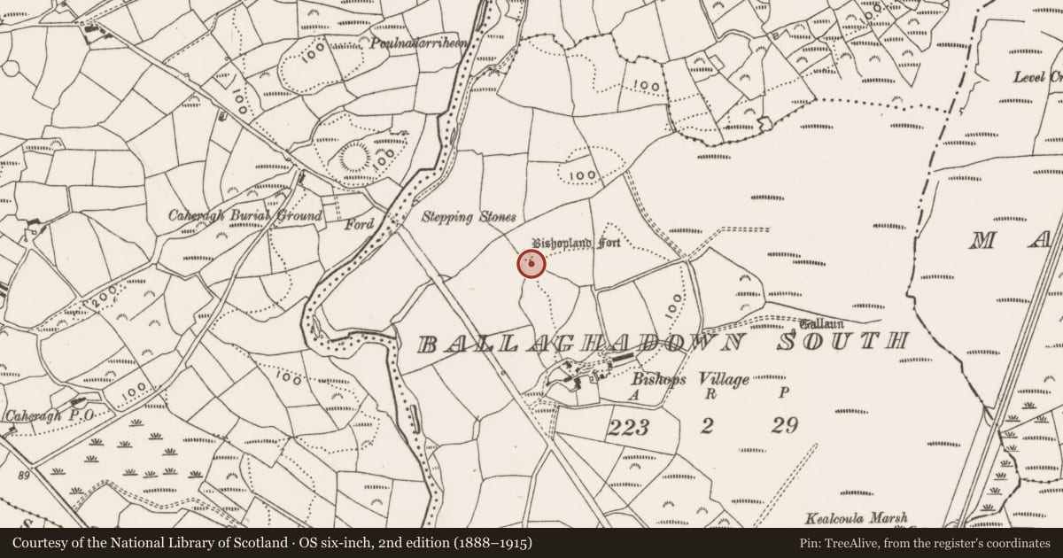 Ordnance Survey six-inch map, 2nd edition (1888–1915) covering the location of Ringfort - rath, Ballaghadown South, County Cork, with a pin at the register's coordinates
