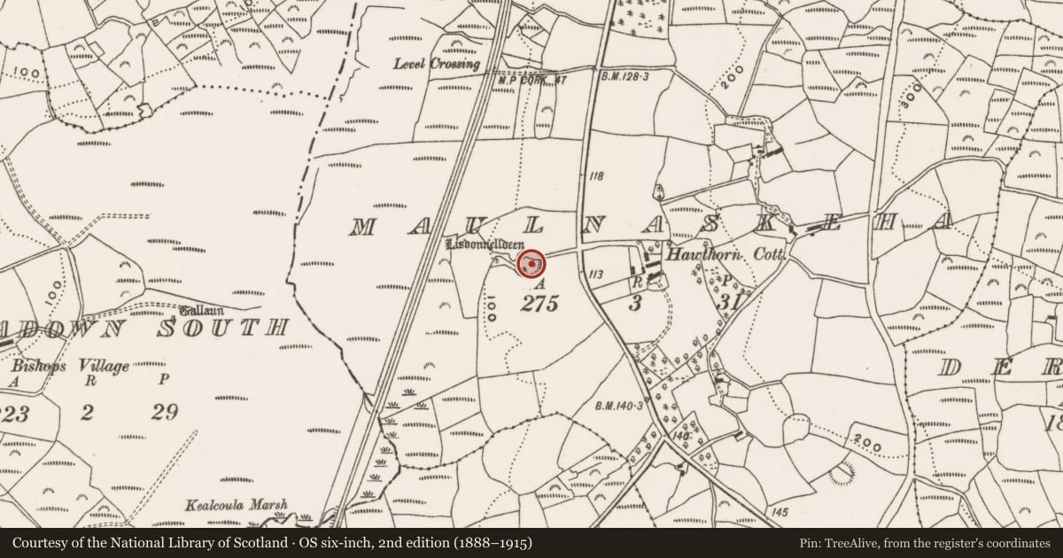 Ordnance Survey six-inch map, 2nd edition (1888–1915) covering the location of Souterrain, Maulnaskeha, County Cork, with a pin at the register's coordinates