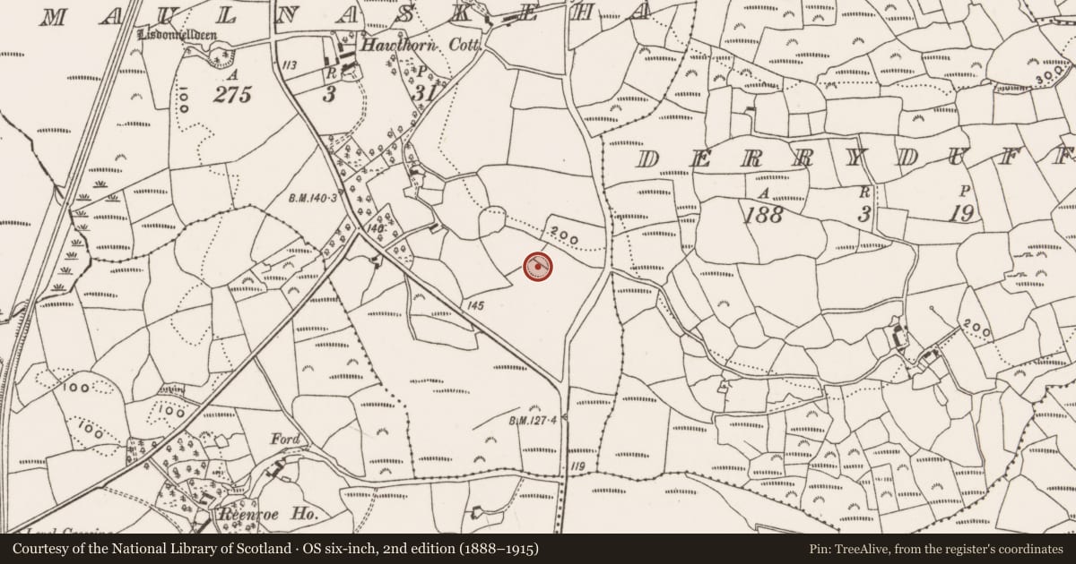 Ordnance Survey six-inch map, 2nd edition (1888–1915) covering the location of Ringfort - rath, Maulnaskeha, County Cork, with a pin at the register's coordinates