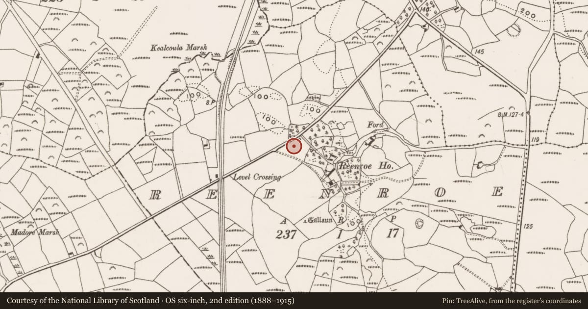 Ordnance Survey six-inch map, 2nd edition (1888–1915) covering the location of Earthwork, Reenroe, County Cork, with a pin at the register's coordinates
