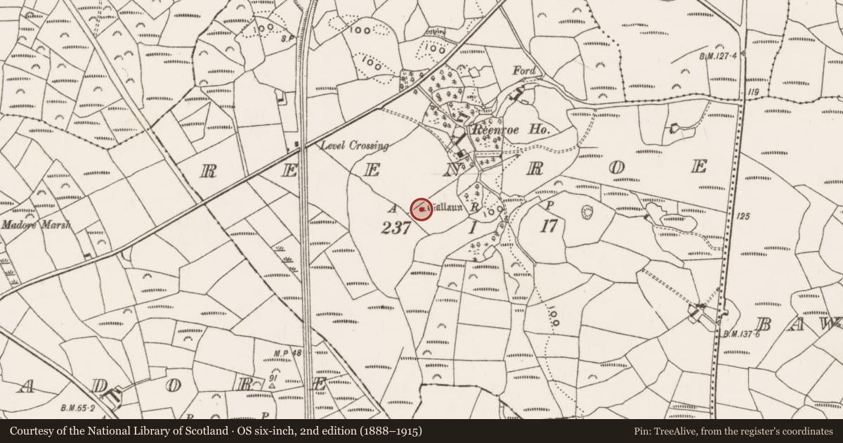 Ordnance Survey six-inch map, 2nd edition (1888–1915) covering the location of Standing stone, Reenroe, County Cork, with a pin at the register's coordinates
