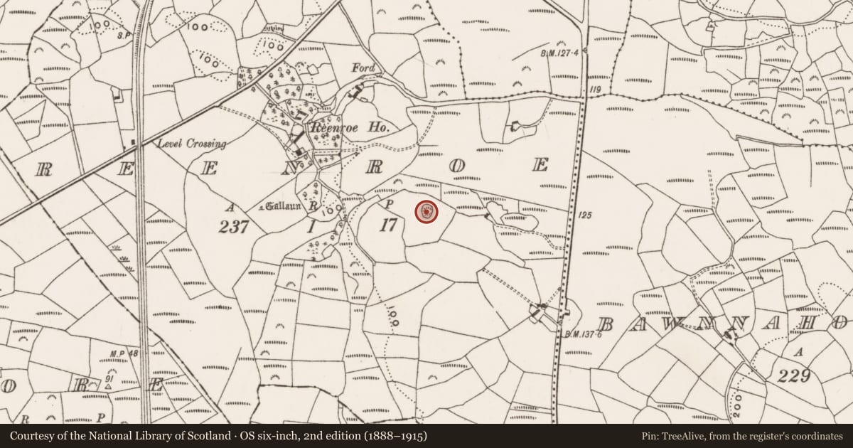 Ordnance Survey six-inch map, 2nd edition (1888–1915) covering the location of Ringfort - rath, Reenroe, County Cork, with a pin at the register's coordinates