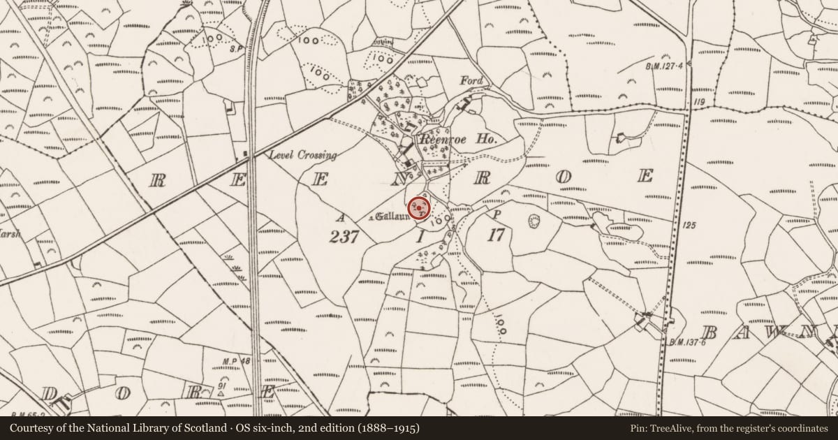 Ordnance Survey six-inch map, 2nd edition (1888–1915) covering the location of Structure, Reenroe, County Cork, with a pin at the register's coordinates