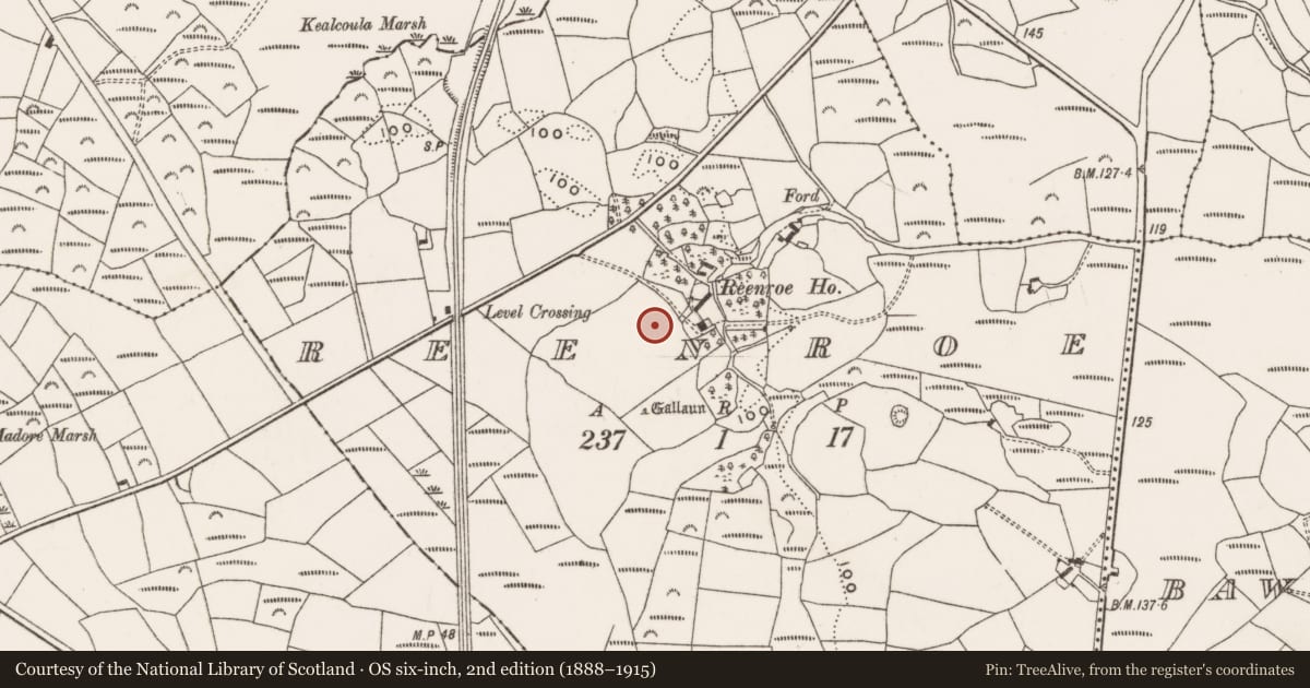 Ordnance Survey six-inch map, 2nd edition (1888–1915) covering the location of Mound, Reenroe, County Cork, with a pin at the register's coordinates