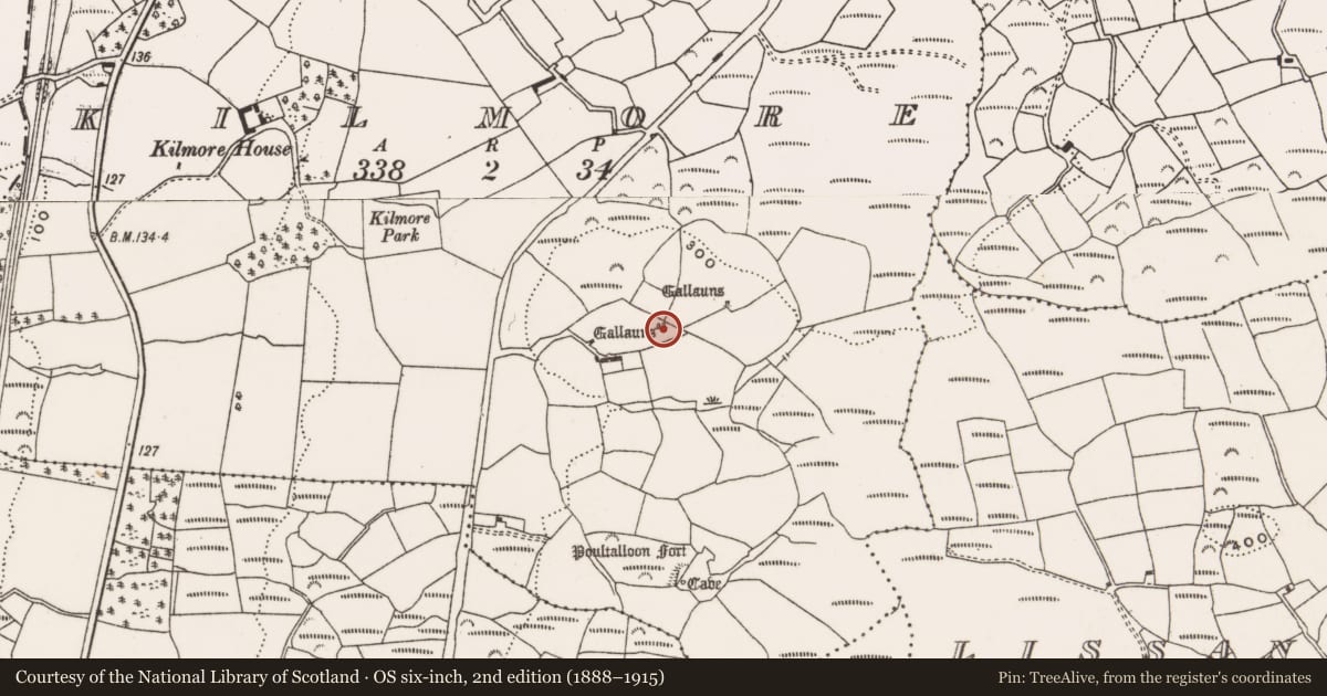 Ordnance Survey six-inch map, 2nd edition (1888–1915) covering the location of Standing stone - pair, Kilmore, County Cork, with a pin at the register's coordinates