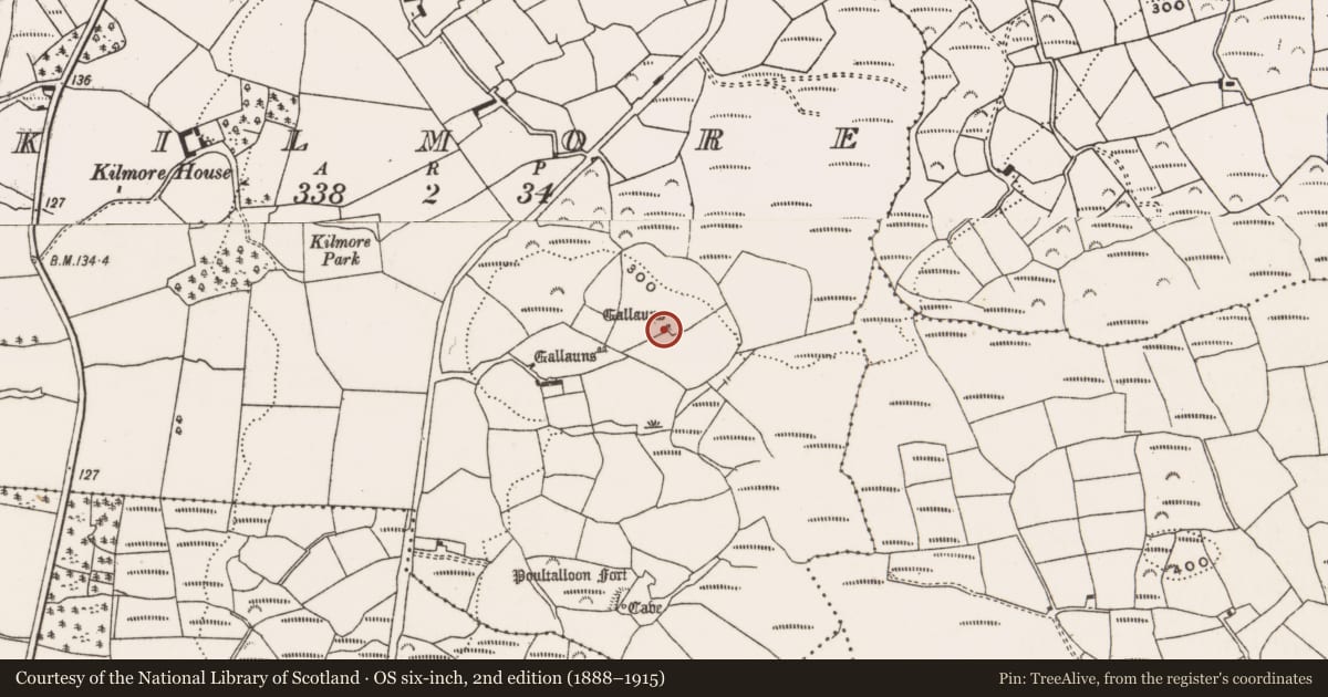 Ordnance Survey six-inch map, 2nd edition (1888–1915) covering the location of Boulder-burial, Kilmore, County Cork, with a pin at the register's coordinates