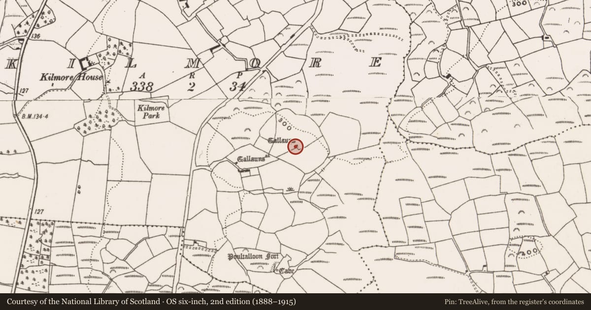 Ordnance Survey six-inch map, 2nd edition (1888–1915) covering the location of Boulder-burial, Kilmore, County Cork, with a pin at the register's coordinates