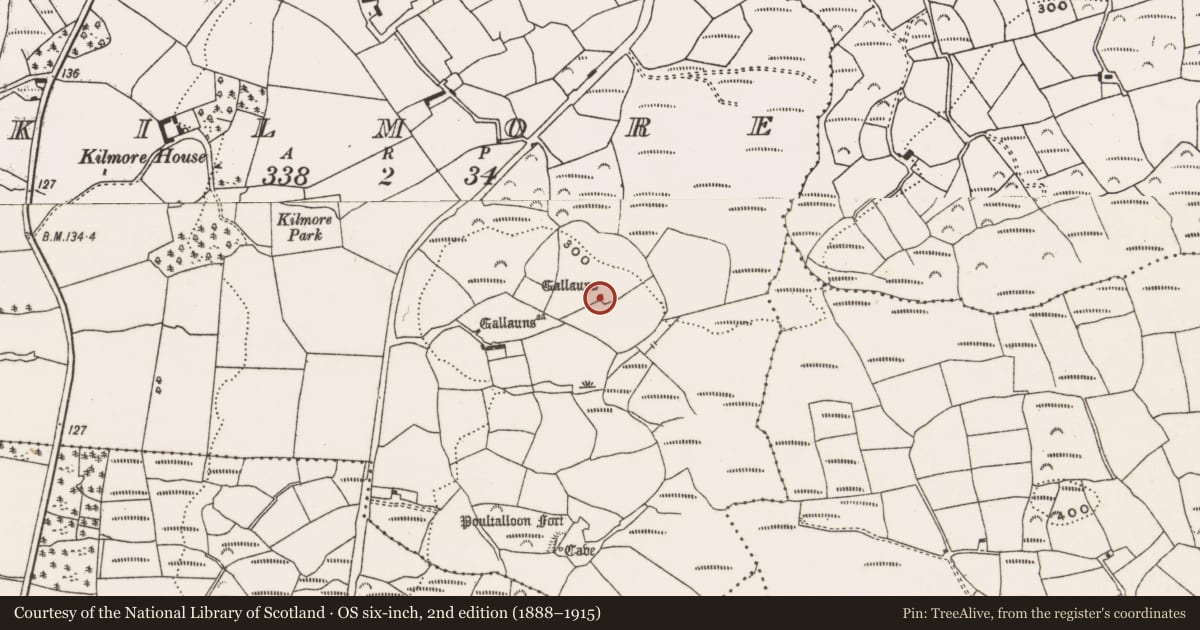 Ordnance Survey six-inch map, 2nd edition (1888–1915) covering the location of Boulder-burial, Kilmore, County Cork, with a pin at the register's coordinates
