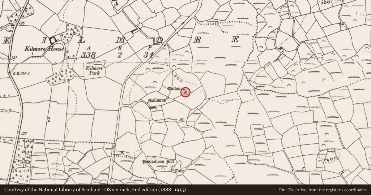 Ordnance Survey six-inch map, 2nd edition (1888–1915) covering the location of Boulder-burial, Kilmore, County Cork, with a pin at the register's coordinates
