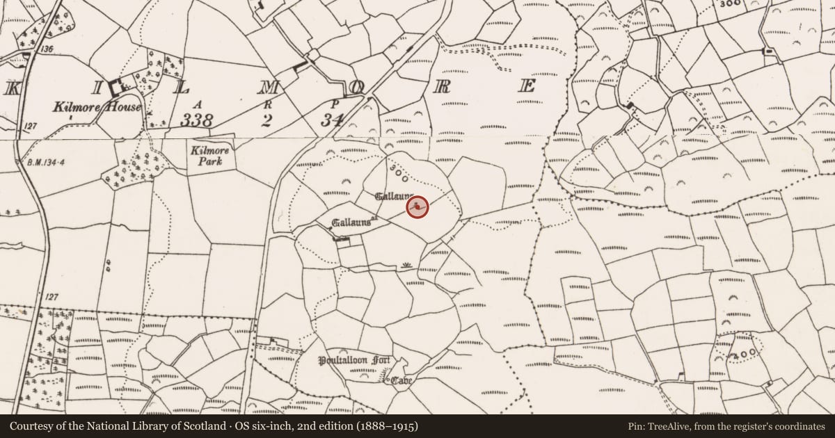 Ordnance Survey six-inch map, 2nd edition (1888–1915) covering the location of Standing stone, Kilmore, County Cork, with a pin at the register's coordinates