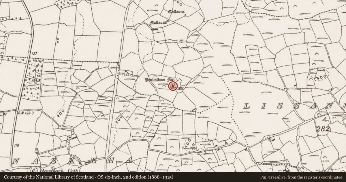 Ordnance Survey six-inch map, 2nd edition (1888–1915) covering the location of Ringfort - rath, Kilmore, County Cork, with a pin at the register's coordinates