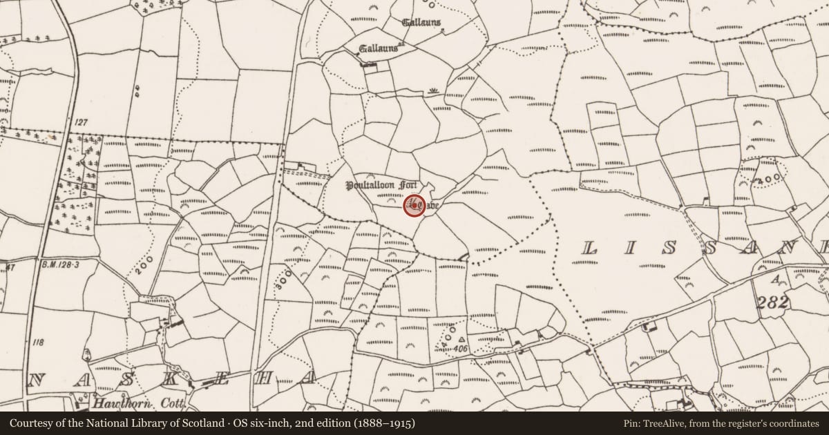 Ordnance Survey six-inch map, 2nd edition (1888–1915) covering the location of Souterrain, Kilmore, County Cork, with a pin at the register's coordinates