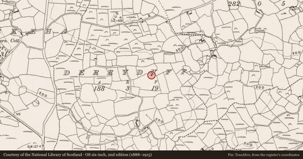 Ordnance Survey six-inch map, 2nd edition (1888–1915) covering the location of Fulacht fia, Derryduff, County Cork, with a pin at the register's coordinates