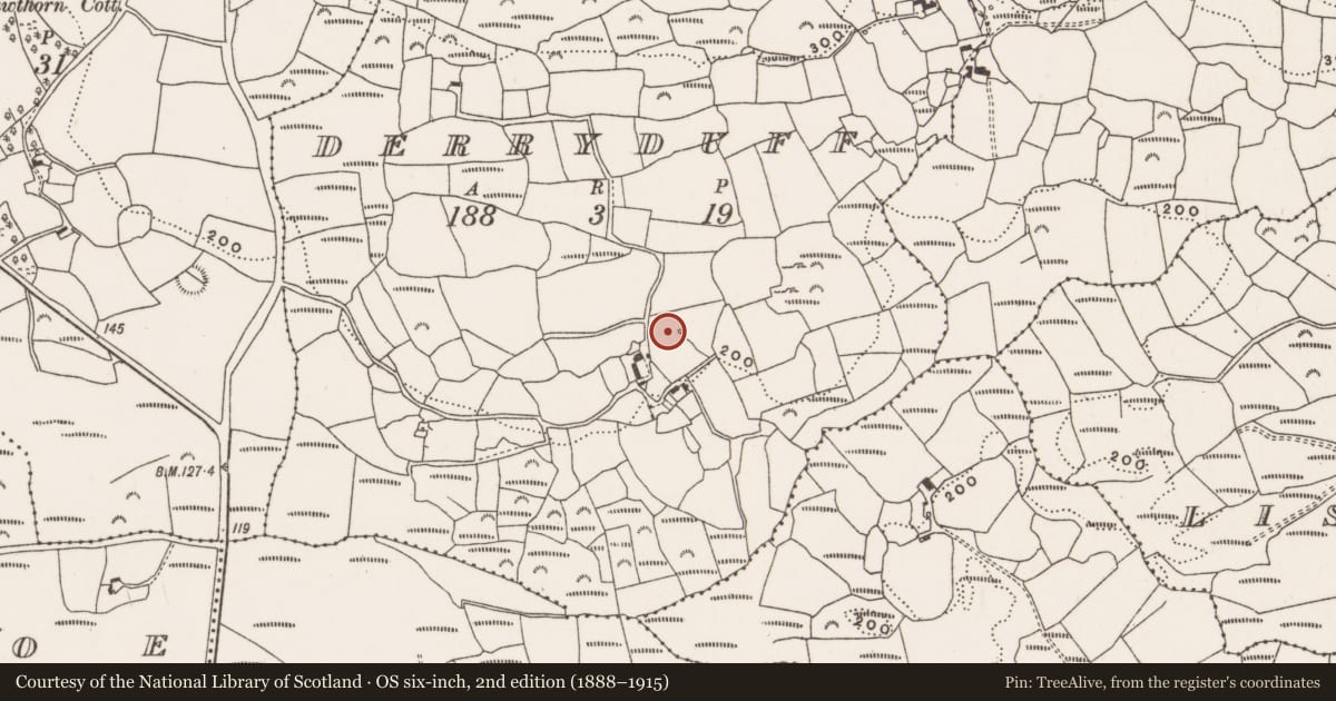 Ordnance Survey six-inch map, 2nd edition (1888–1915) covering the location of Fulacht fia, Derryduff, County Cork, with a pin at the register's coordinates