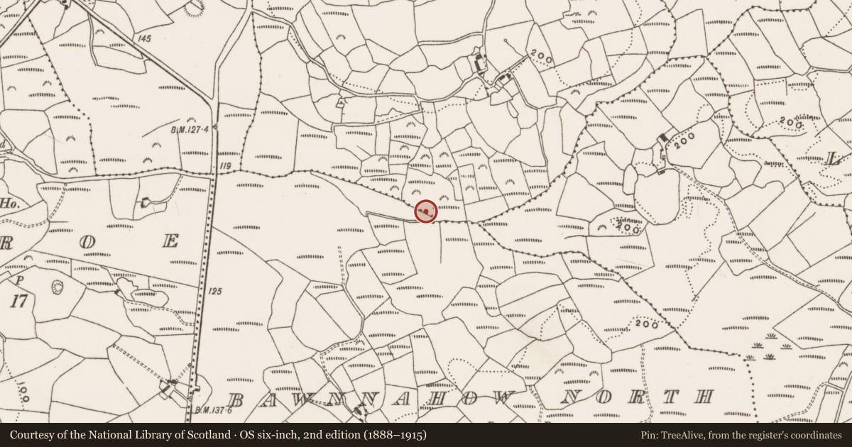 Ordnance Survey six-inch map, 2nd edition (1888–1915) covering the location of Fulacht fia, Derryduff, County Cork, with a pin at the register's coordinates