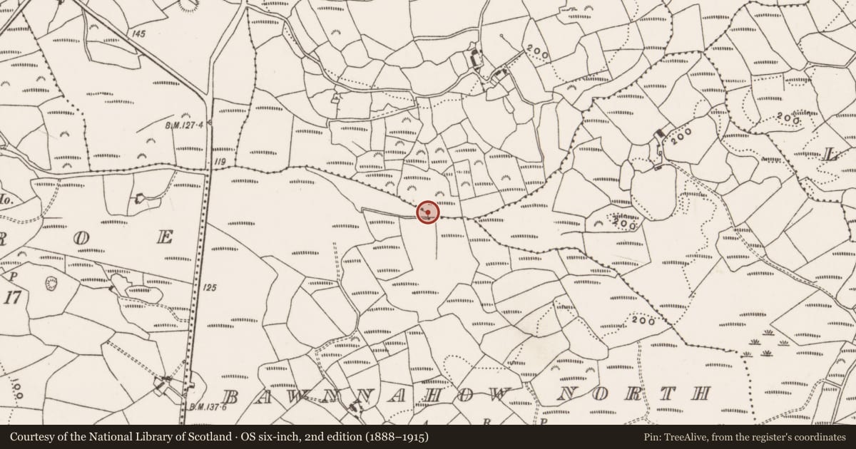 Ordnance Survey six-inch map, 2nd edition (1888–1915) covering the location of Fulacht fia, Derryduff, County Cork, with a pin at the register's coordinates